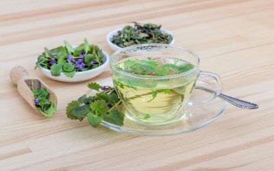 Adaptogene Pflanzen: Mit Natur gegen den Stress