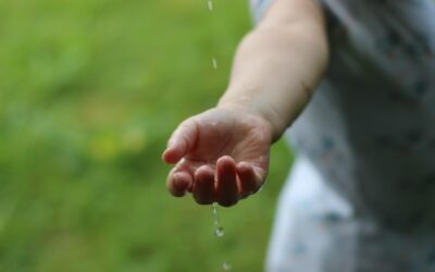 Nachhaltiger Lebensstil